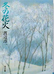 【3980円以上送料無料】冬の花火／渡辺淳一／〔著〕