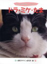 【3980円以上送料無料】ドラ・ミケ・たま ねこの絵を描いてみよう/視覚デザイン研究所・編集室/編