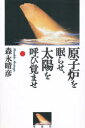 原子炉を眠らせ、太陽を呼び覚ませ／森永晴彦／著