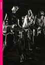 【3980円以上送料無料】デストロイ セックス・ピストルズ1977/Dennis Morris/〔撮影〕(3)