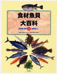 【3980円以上送料無料】食材魚貝大百科　4／河野　博　他　中村　庸夫　撮影