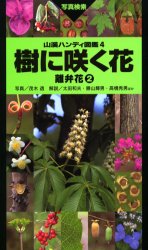 【3980円以上送料無料】樹に咲く花　離弁花2／茂木透／写真　高橋秀男／監修　勝山輝男／監修　石井英..