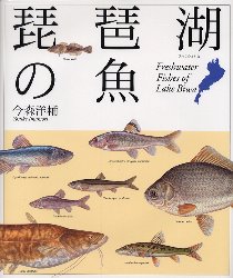 Rakuten - 【3980円以上送料無料】琵琶湖の魚／今森洋輔／著