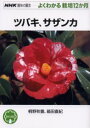 【3980円以上送料無料】ツバキ、サザンカ/桐野秋豊/著 箱田直紀/著
