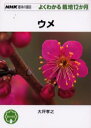 【3980円以上送料無料】ウメ/大坪孝之/著