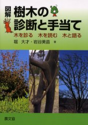 【3980円以上送料無料】図解樹木の診断と手当て　木を診る木を読む木と語る／堀大才／著　岩谷美苗／著