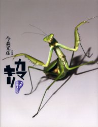 【3980円以上送料無料】カマキリ／今森光彦／文・写真