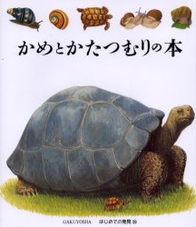 はじめての発見　26 岳陽舎 カメ　カタツムリ 1冊　19cm カメ　ト　カタツムリ　ノ　ホン　ハジメテ　ノ　ハツケン　26 ウ−ブル，ジルベ−ル　HOUBRE，GILBERT　ガリマ−ル／ジユネスシヤ　ウ−ブル，ジルベ−ル　HOUBRE，GILBERT　テズカ，チフミ