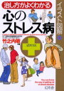 【3980円以上送料無料】治し方がよくわかる心のストレス病 イラスト図解/竹之内敏/著