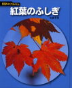 【3980円以上送料無料】紅葉のふしぎ 新装版/佐藤有恒/著