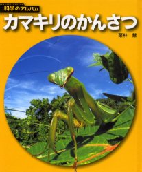 【3980円以上送料無料】カマキリのかんさつ 新装版／栗林慧／著