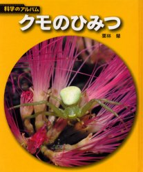 科学のアルバム　虫9 あかね書房 クモ類 52P　23cm クモ　ノ　ヒミツ　カガク　ノ　アルバム　ムシ−9 クリバヤシ，サトシ