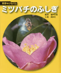 【3980円以上送料無料】ミツバチのふしぎ 新装版／栗林慧／写真 七尾純／文