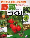 【3980円以上送料無料】「よくある失敗」と「対策」がわかる野菜づくり 成功するコツや病害虫対策もバッチリ!/藤田智/著