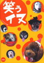 【3980円以上送料無料】笑うイヌ/ヒットスタジオ/編