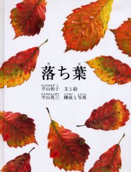 福音館書店 樹木　葉 40P　26cm オチバ ヒラヤマ，カズコ　ヒラヤマ，エイゾウ