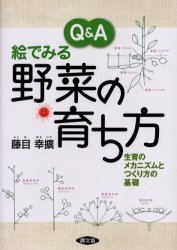 【3980円以上送料無料】Q＆A絵でみる野菜の育ち方　生育のメカニズムとつくり方の基礎／藤目幸拡／著