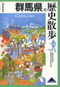 歴史散歩　10 山川出版社 群馬県／紀行・案内記　群馬県／歴史 299P　19cm グンマケン　ノ　レキシ　サンポ　レキシ　サンポ　10 グンマケン／コウトウ／ガツコウ／キヨウイク／ケンキユウカイ