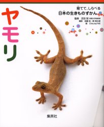 【3980円以上送料無料】ヤモリ／疋田努／監修　佐藤裕／撮影　関慎太郎／撮影　Cheung＊ME／絵