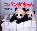 【3980円以上送料無料】コパンダちゃん 菅野ぱんだ写真集/菅野ぱんだ/撮影