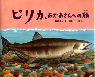 【3980円以上送料無料】ピリカ おかあさんへの旅／越智典子／文 沢田としき／絵