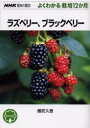 NHK趣味の園芸　よくわかる栽培12か月 日本放送出版協会 キイチゴ 127P　19cm ラズベリ−　ブラツクベリ−　エヌエイチケ−　シユミ　ノ　エンゲイ　ヨク　ワカル　サイバイ　ジユウニカゲツ クニタケ，ヒサト