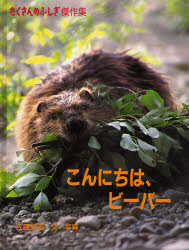 たくさんのふしぎ傑作集 福音館書店 ビーバー 40P　26cm コンニチワ　ビ−バ−　タクサン　ノ　フシギ　ケツサクシユウ サトウ，エイジ