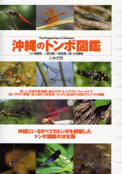 【3980円以上送料無料】沖縄のトンボ図鑑／尾園暁／写真　渡辺賢一／文　焼田理一郎／文　小浜継雄／文