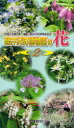 【3980円以上送料無料】軽井沢町植物園の花 第2集/佐藤邦雄/監修 軽井沢町教育委員会/編集