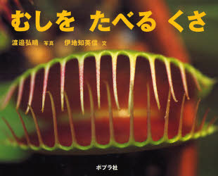 【3980円以上送料無料】むしをたべるくさ／渡邉弘晴／写真　伊地知英信／文