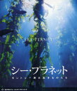 【送料無料】BD シー・プラネット モントレー湾の生/