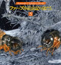 【3980円以上送料無料】ファーブル昆虫記の虫たち Kumada Chikabo’s World 5/熊田千佳慕/絵・文