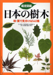 【送料無料】鑑定図鑑日本の樹木　枝・葉で見分ける540種／三上常夫／著　川原田邦彦／著　吉沢信行／著