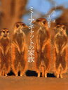 【3980円以上送料無料】ミーアキャットの家族/内山晟/しゃしん 江口絵理/ぶん
