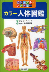 人体図鑑 【3980円以上送料無料】カラー人体図鑑　ビジュアル・アナトミー／ジェーン・ダ・バーグ／編　金沢寛明／訳