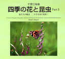 【3980円以上送料無料】四季の花と昆虫 虫たちの囁き 小さな命に乾杯! Part3/平賀巳知雄/著