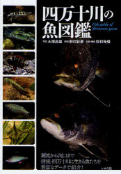 ミナミヤンマ・クラブ 魚／高知県／図鑑　四万十川 163P　21cm シマントガワ　ノ　ウオズカン オオツカ，タカオ　ノムラ，サエ