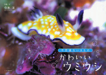 【3980円以上送料無料】かわいいウミウシ　不思議ないきもの／今本淳／写真・文