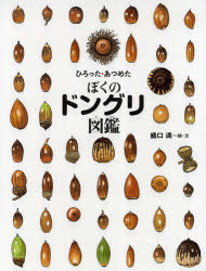 【3980円以上送料無料】ぼくのドングリ図鑑 ひろった あつめた／盛口満／絵 文
