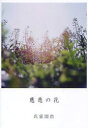 【3980円以上送料無料】慈悲の花/氏家国浩/著