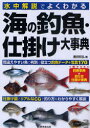 【3980円以上送料無料】水中解説でよくわかる海の釣魚・仕掛け大事典/豊田和弘/著
