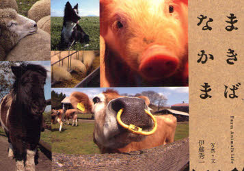 東海教育研究所 家畜／写真集　牧場 63P　15×21cm マキバ　ナカマ　フア−ム　アニマルズ　ライフ　FARM　ANIMAL′S　LIFE イトウ，シユウイチ