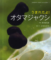 【3980円以上送料無料】うまれたよ！オタマジャクシ／関慎太郎／写真　小杉みのり／構成・文