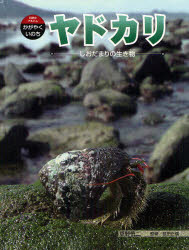 【3980円以上送料無料】ヤドカリ　しおだまりの生き物／草野慎二／著　武田正倫／監修