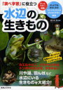 【3980円以上送料無料】水辺の生きもの 「調べ学習」に役立つ/佐々木洋/著