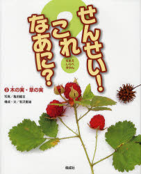 【3980円以上送料無料】せんせい！これなあに？ なまえしらべずかん 3／亀田 龍吉 写真 有沢 重雄 構成・文