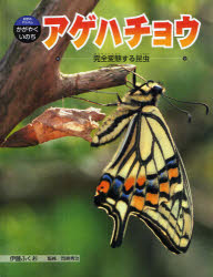 【3980円以上送料無料】アゲハチョウ　完全変態する昆虫／伊藤ふくお／著　岡島秀治／監修