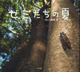 【3980円以上送料無料】セミたちの夏／筒井学／写真と文