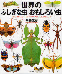 世界のふしぎな虫おもしろい虫　THE　MUSEUM　OF　WONDERFUL　INSECTS／今森光彦／著　塚田悦造／監修　市川顕彦／監修