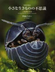 【3980円以上送料無料】写真で見る小さな生きものの不思議　土壌動物の世界／皆越ようせい／著